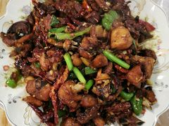 -新疆风味冷水鱼庄(友谊峰路店)