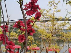 -南翠屏公园