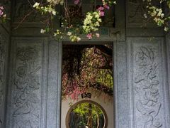 -深圳国际园林花卉博览园