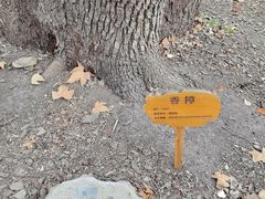 -徐家汇源景区-衡山公园