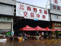 -山人野生菌餐厅