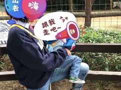 门面-福州动物园