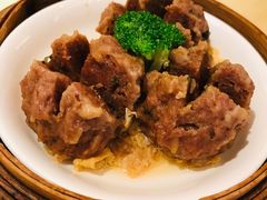 陈皮牛肉丸-湛江花园酒店·桃园馆
