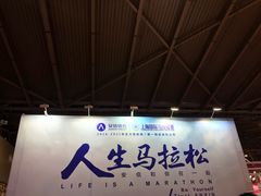 -东浩兰生上海世博展览馆