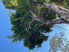 -白石龙音乐公园