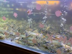 -白仁仔· 活烤海鲜 宵夜(豫园店)