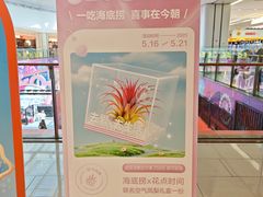 -海底捞火锅(龙湖北京大兴天街店)