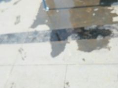 -胡家庙水果批发市场