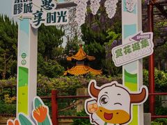 -嘉定紫藤园