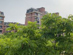 -芜湖方特旅游度假区