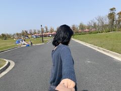 -春花秋色城市公园