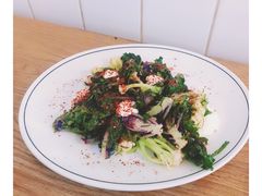 菜花甘藍-Cumulus Inc.