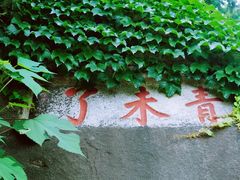 -泰山风景名胜区