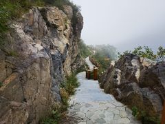 -阿田大虾(台湾街店)