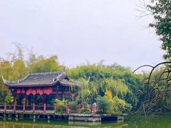 -棠湖公园