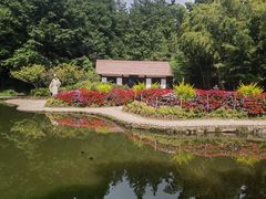 -庐山风景名胜区