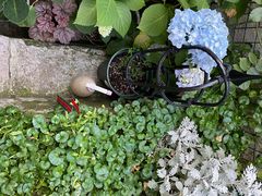 -About Bistro關於·泰式家庭料理