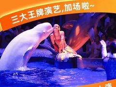 -大连圣亚海洋世界