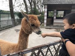 -太阳岛度假酒店