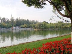 -翠湖公园