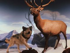 -陕西自然博物馆