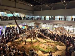 -自贡恐龙博物馆