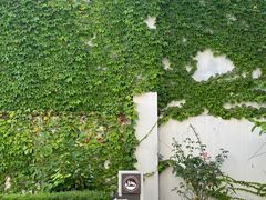 -青岛德国监狱旧址博物馆