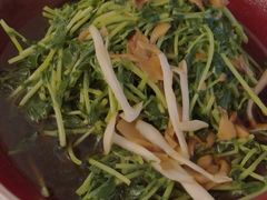 松茸菌豆苗-丰收日·小海鲜·沪上家宴(顾村正大店)