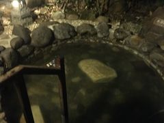 -明月山天沐温泉度假村