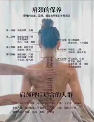 -香薇妮丝·定制减肥·身材管理