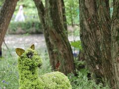 -上海共青森林公园