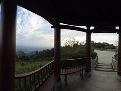 -黄埔油麻山森林公园