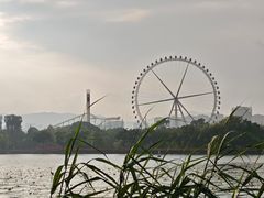 -庾园