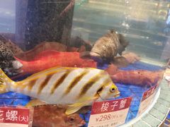 -金悦轩海鲜酒家(拱北店)
