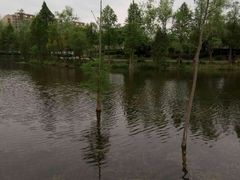 -重庆彩云湖湿地公园