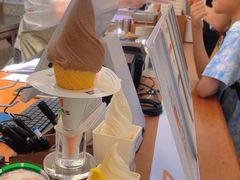 -野人先生Gelato(上海长宁龙之梦店)