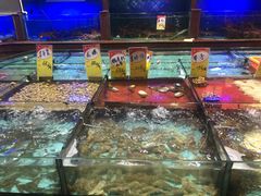 水产区-明香海鲜酒家(华强北店)