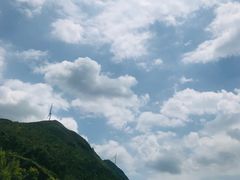 -盐洲岛