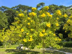 -深圳国际园林花卉博览园