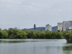 -长兴太湖图影湿地文化园