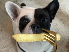 -Burger Bar 山沐西餐吧(钟村店)