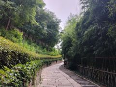 -竹子庵公园