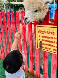 -萌宠亲子动物乐园(槐房万达店)