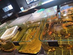 -张生记(双菱店)