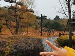 -黄陂区野村谷景区