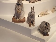 -贝林大翅鲸简餐厅(国家海洋博物馆店)