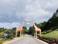 -贵州森林野生动物园