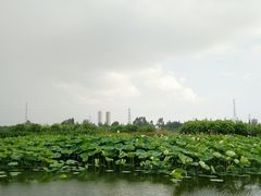 -三圣花乡旅游区