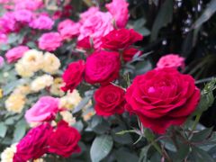 -闽江夜游台江旅游码头