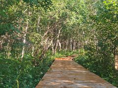 -白草畔自然风景区